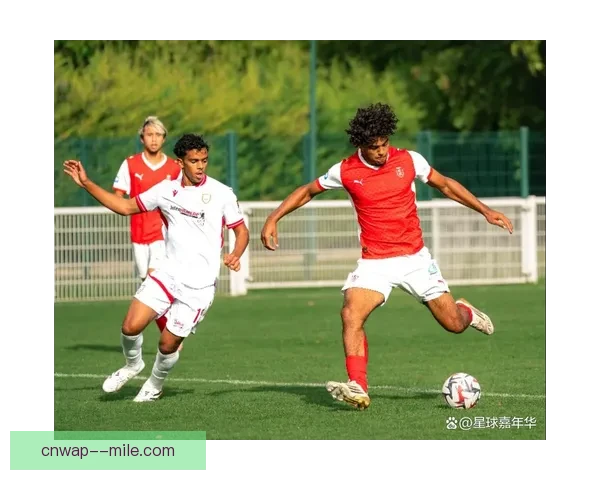 克莱蒙垫底降入法乙对联赛格局和球队未来影响分析