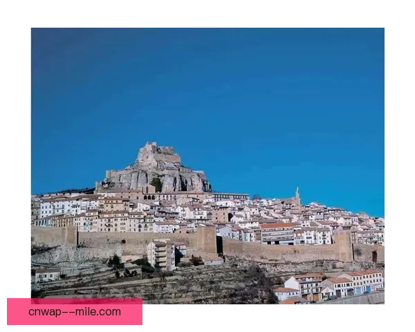 瓦伦西亚保级之路坎坷曲折最终艰难脱险