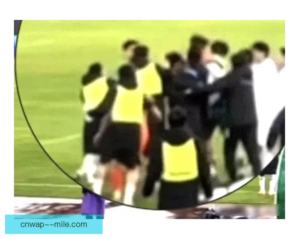 马赛因球迷看台暴力事件被足协处罚南看台停赛三场