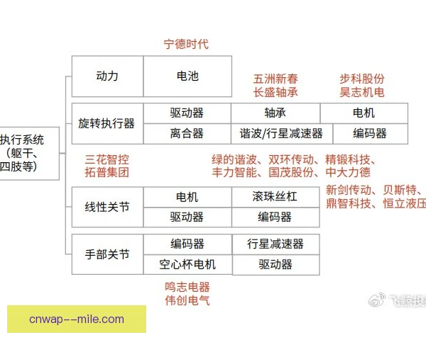 某经纪人体能分配方式，短期冲刺与长期规划并行